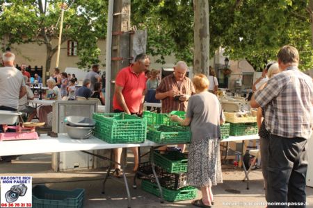 006 - Marchés 2019