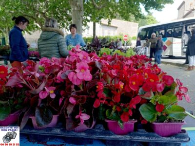 02 - Marché Aux Plantes Du RPI Le Mai 2023