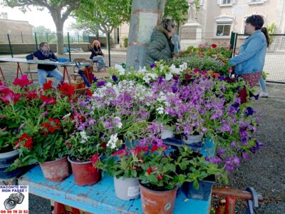 04 - Marché Aux Plantes Du RPI Le Mai 2023