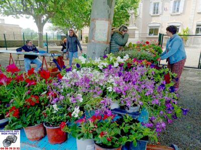 05 - Marché Aux Plantes Du RPI Le Mai 2023