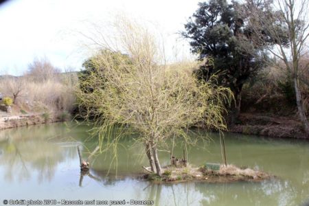 12 - 2ème Lâcher De Truites 24 Mars 2018