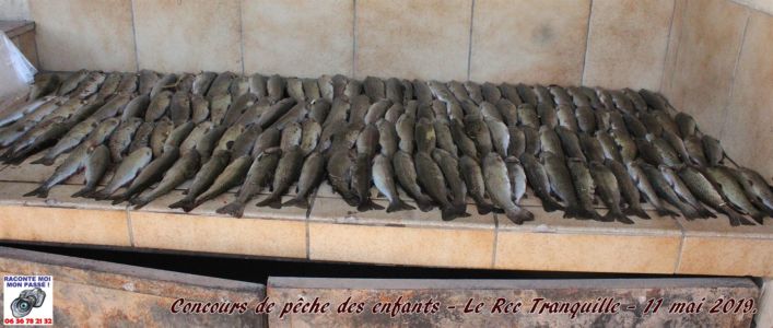 26 - Concours De Pêche 11052019