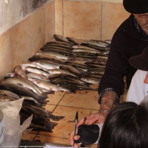 51 - Pêche Enfants Le 10 Mai 2018