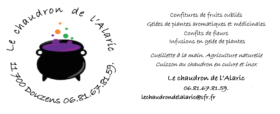 Carte de visite Le chaudron de l'Alaric